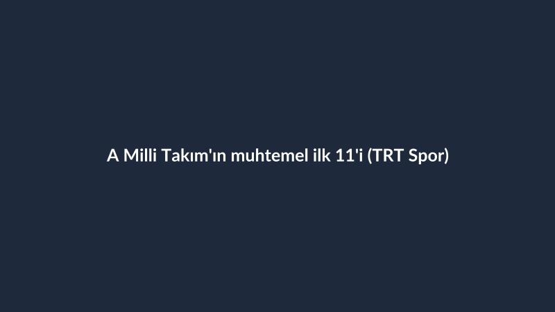 A Milli Takım'ın muhtemel ilk 11'i (TRT Spor)