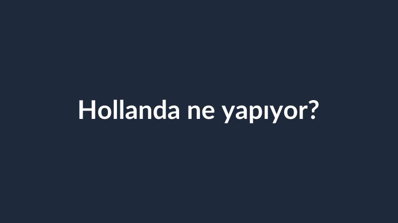 Hollanda ne yapıyor?